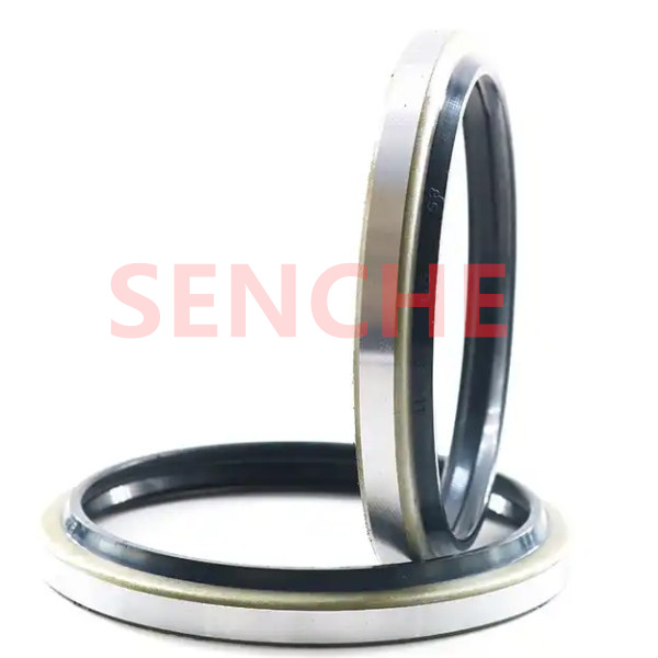 Wiper Seals Dust Seals DBK DKBI DLI VAY Hydraulic Seals
