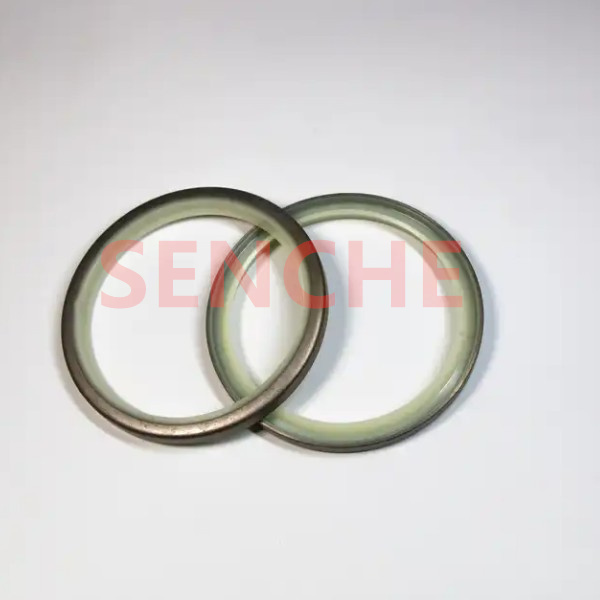 Fast 3-day shipping Hydraulic Cylinder DLI Wiper Seal Hydraulic Cylinder Seal Kit Polyurethane Wiper Seal