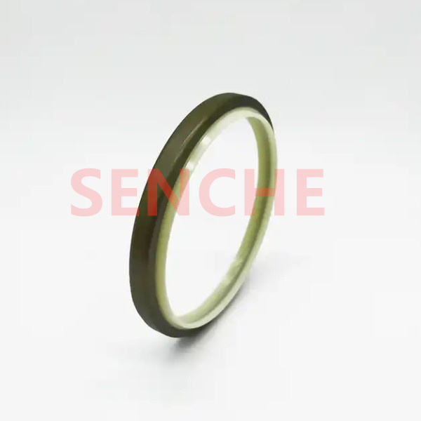 Dkb/Dkbi Oil Seal Hydraulic Cylinder Dust Wiper Piston Rod Main Seal with X-Ring