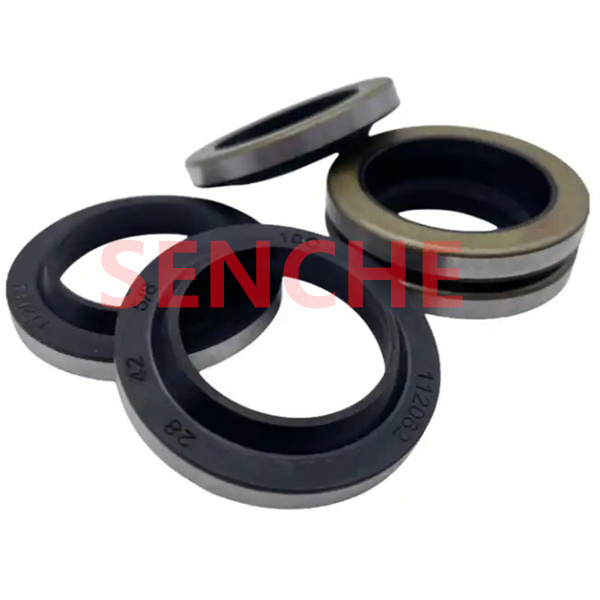 FBK Dust Seal Lip Seals Rotary Shaft Oil Seals With 28*42*5/8 With Nbr Material GA Type For Hydraulic