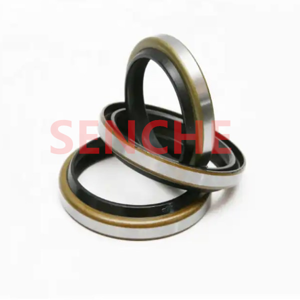 Iron case dust ring GA/DKB piston bidirectional sealing ring rotary sealing ring