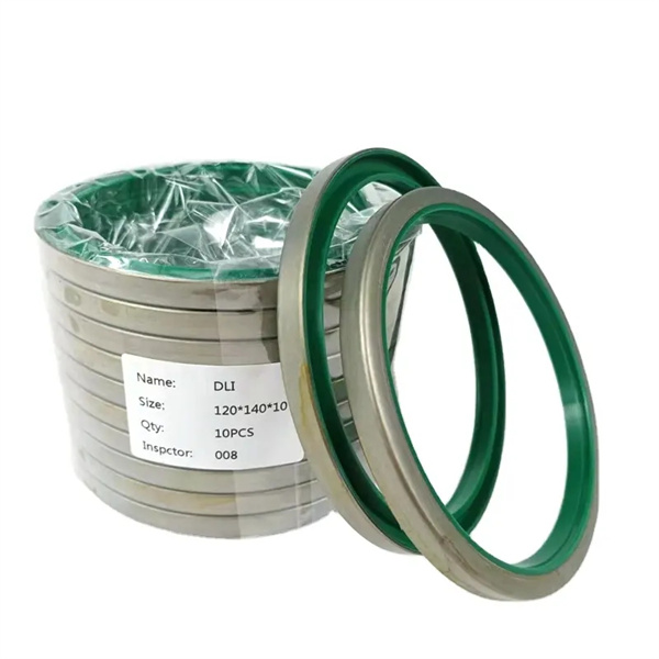 Hydraulic & Pneumatic Dust Wiper Seal DKB DKBI DLI GA DH DHS LBH J A1 PU Rubber NBR FKM Metal Hydraulic Cylinder Wiper Seal